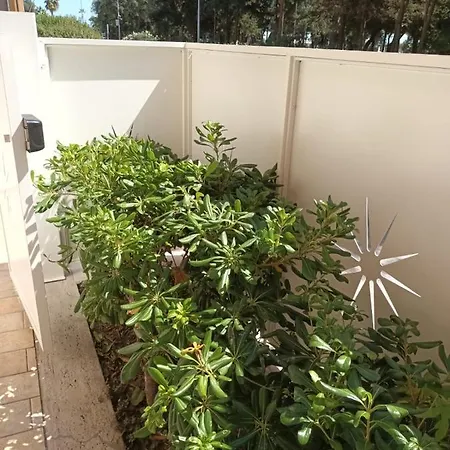 Lido 10a Apartament Civitanova Marche