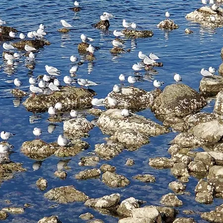 Lido 10a Civitanova Marche